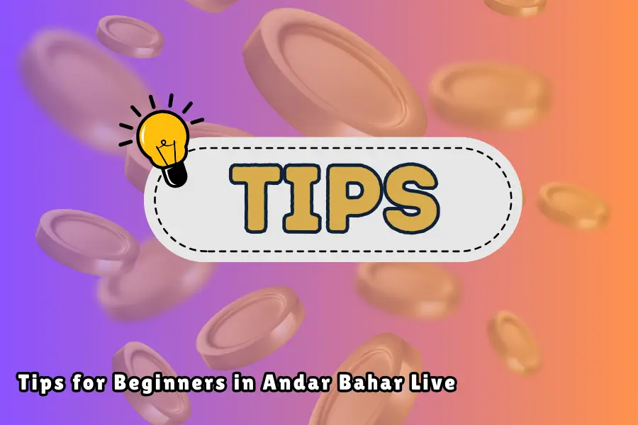 Andar Bahar Live at BetinExchange body image